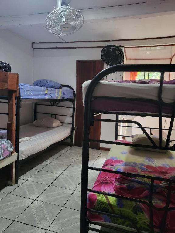 Downtown Montezuma Hostel ภายนอก รูปภาพ